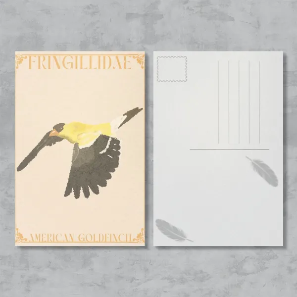 American Goldfinch Postcard