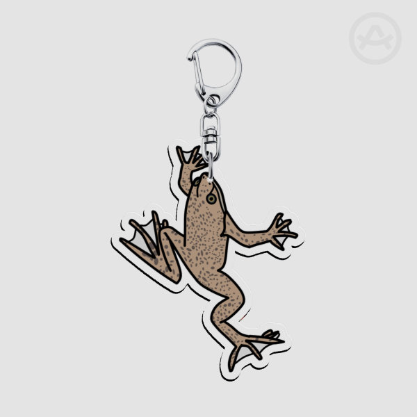 African Dwarf Frog on a Hook