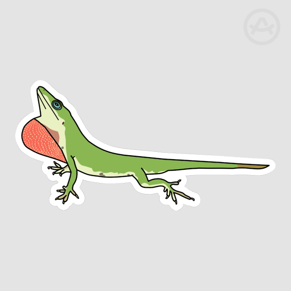 Male Green Anole Lizard Sticker