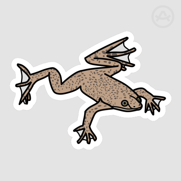 African Dwarf Frog Sticker
