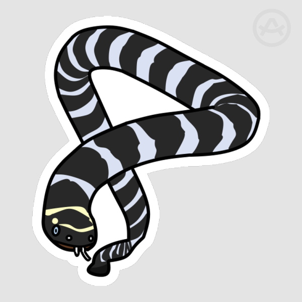 Banded Sea Krait Sticker