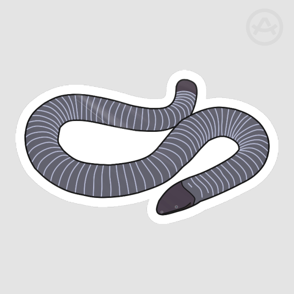 Ringed Caecilian Sticker (Glossy)