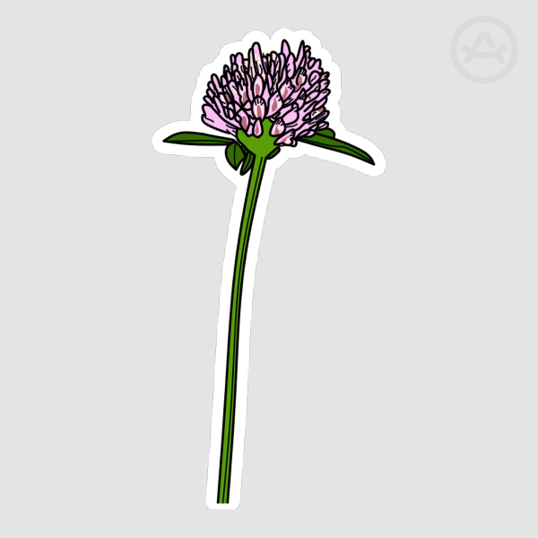 Red Clover Sticker