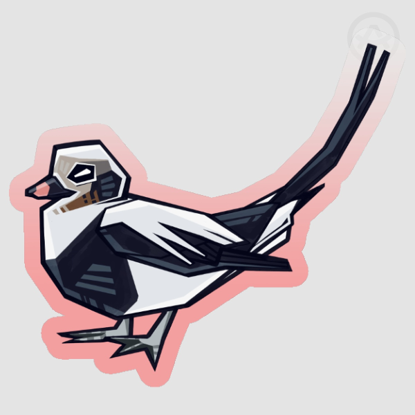 Long-tailed duck - Vinyl Sticker