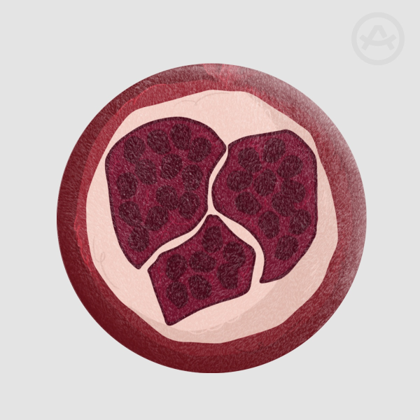 Pomegranate Plush Badge