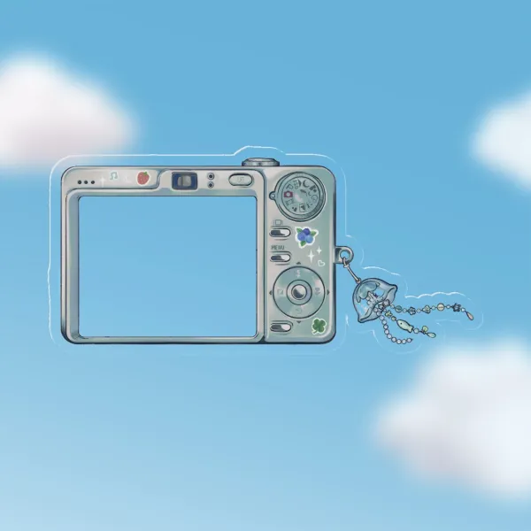 Camera PET Plastic Cards