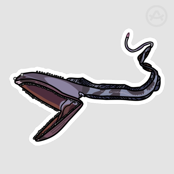 Gulper Eel Sticker