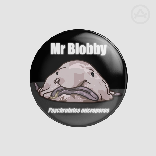 Mr Blobby Pin