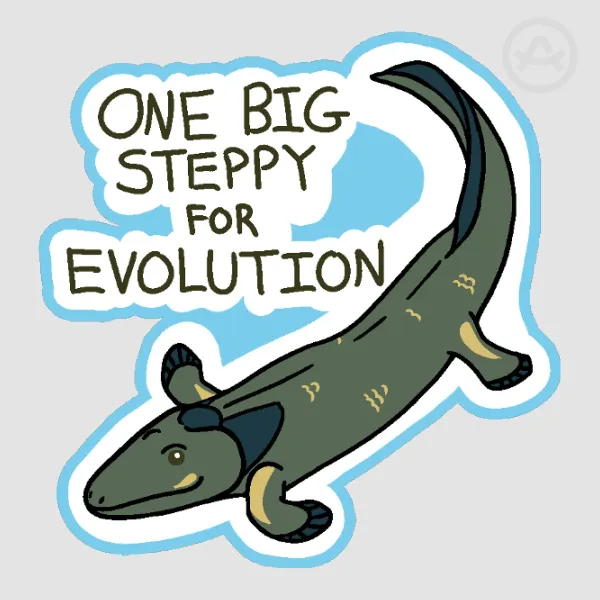 Big Steppy