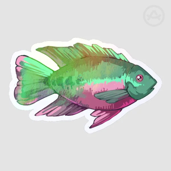 Tilapia Sticker