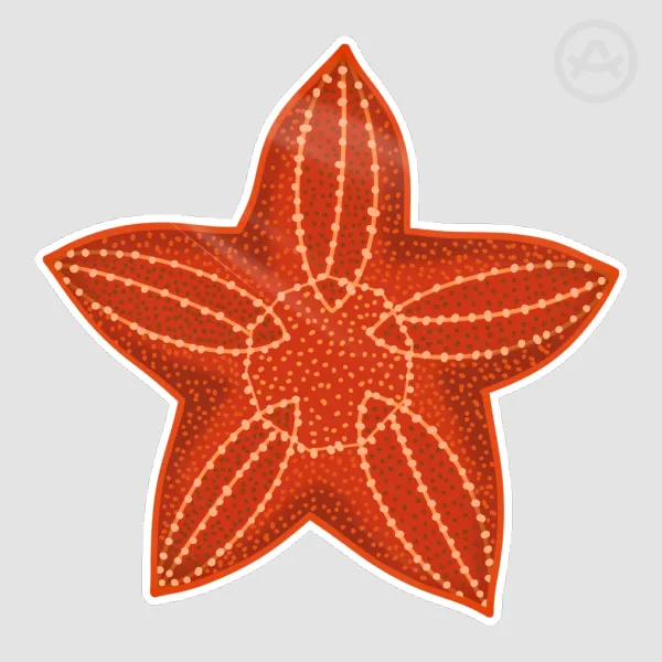 Starfish (Orange)