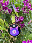custom product review