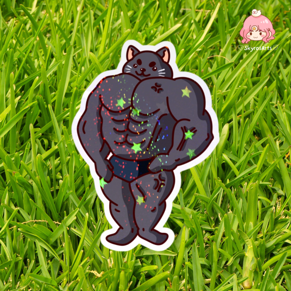 Bodybuilder cat holo sand star