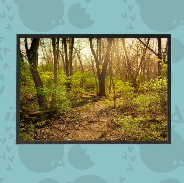 Woods Photography Art Boards