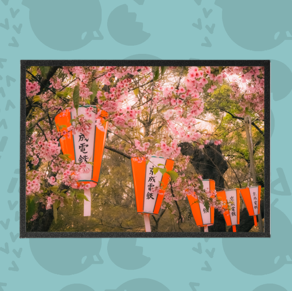 Sakura Japanese Photography Art Boards