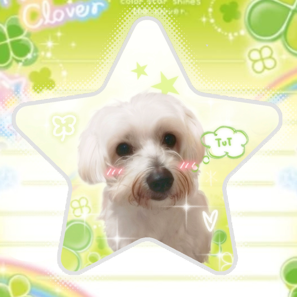 🍀 › Pegatina de Winter (ദ്ദി˙ᗜ˙)