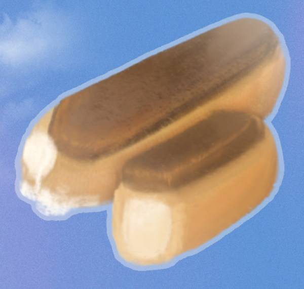 Eclair Sticker