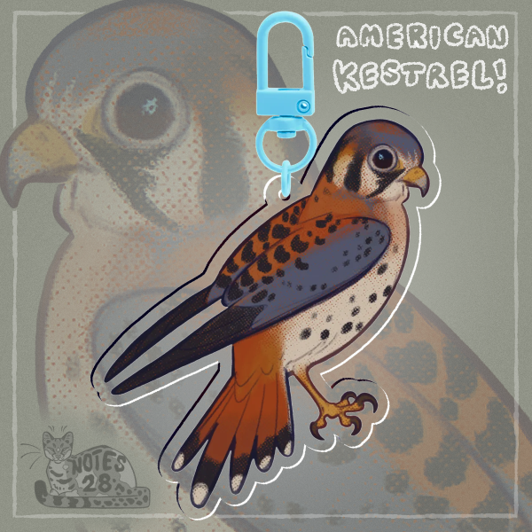 American Kestrel - Keychain