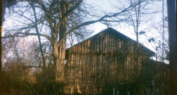 "Signs of nature" Poster Prints