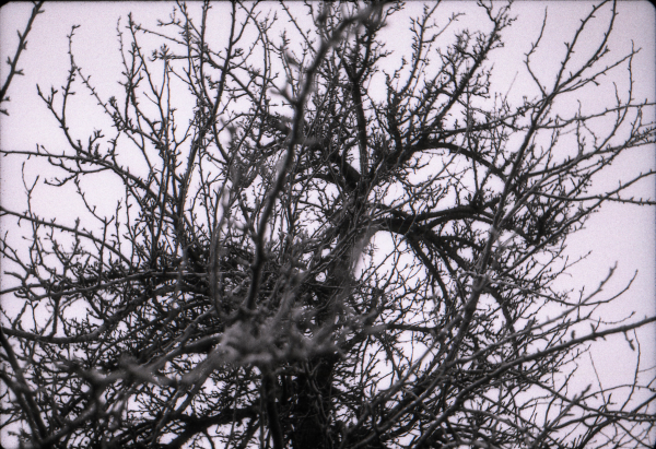 "Winter" Poster Prints