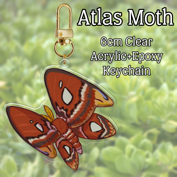Atlas Moth Charm
