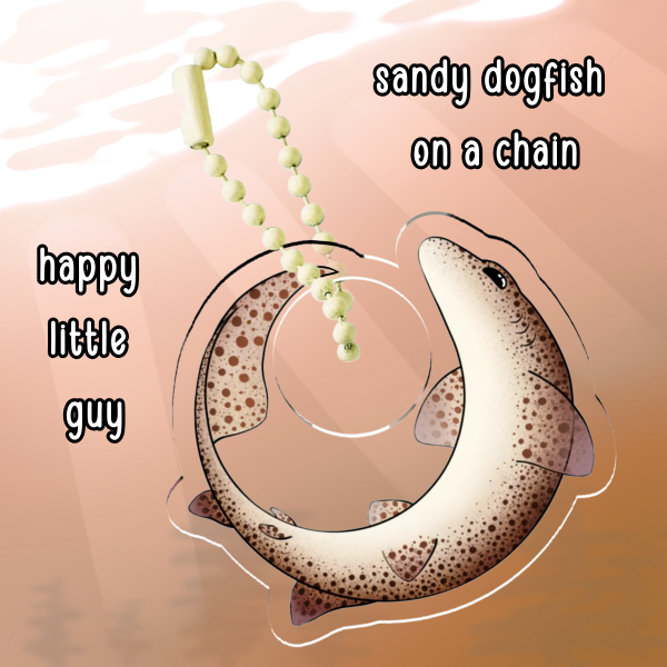 Shark keychain