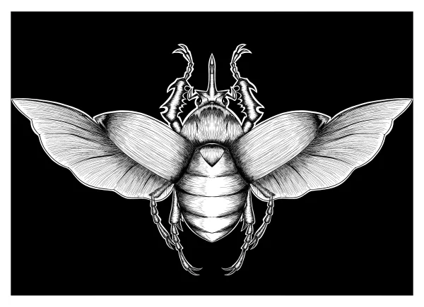 jewel beetle print