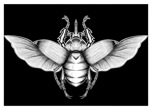 jewel beetle print