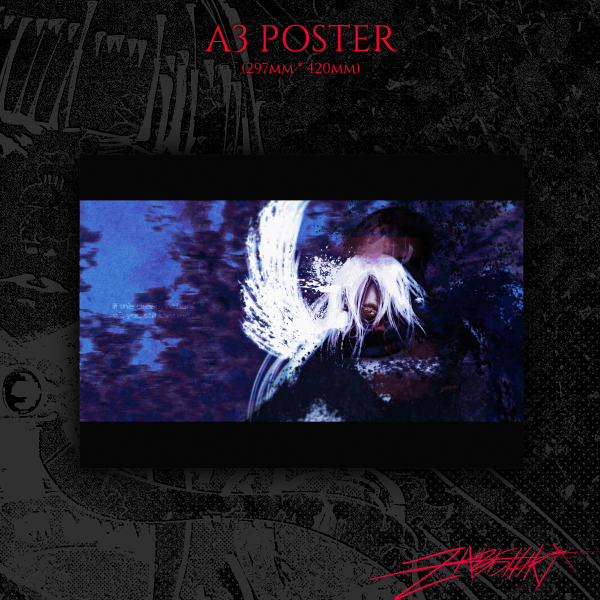 5/12 — SIGNALIS A3 Poster