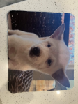 custom product review