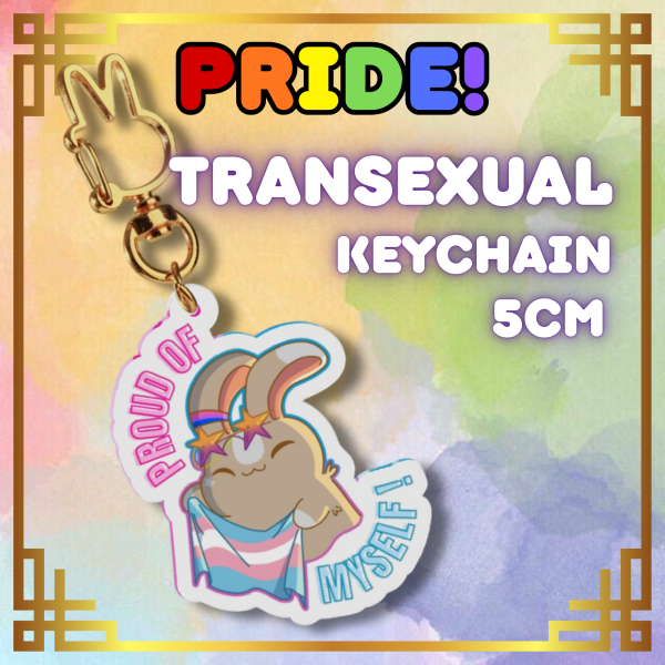 Frizzolino Pride Transexual Clear Acrylic Keychains