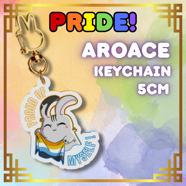 Shoosh Pride Aroace Clear Acrylic Keychains