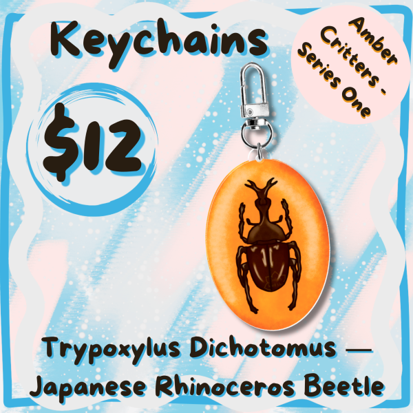 Trypoxylus Dichotomus, Japanese Rhinoceros Beetle - Amber Critters Keychains