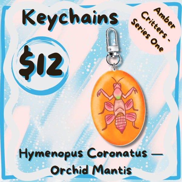 Hymenopus Coronatus, Orchid Mantis - Amber Critters Keychains