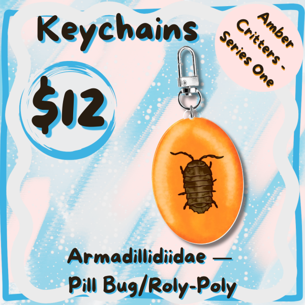 Armadillidiidae, Pill Bug Isopod - Amber Critters Keychains