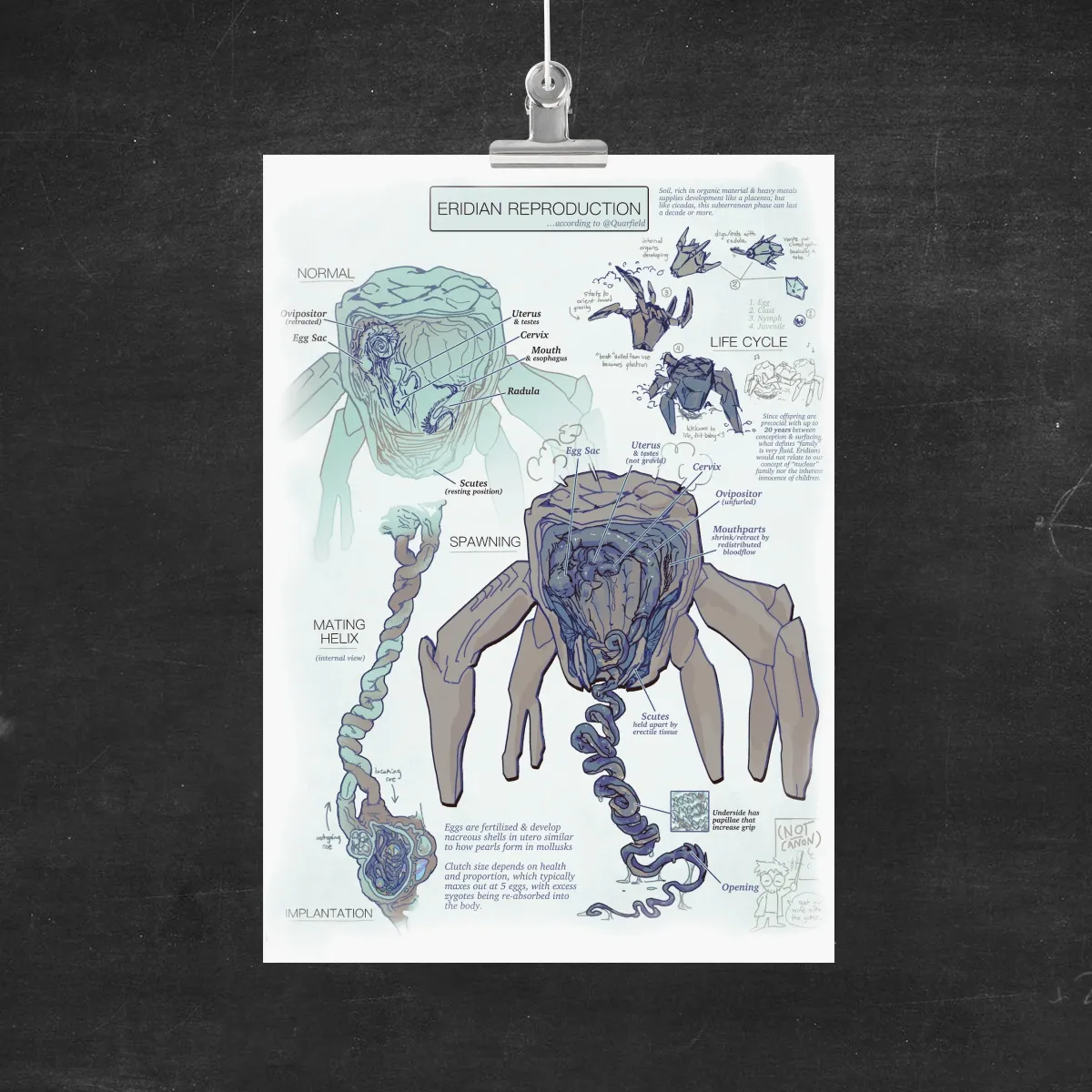 Project Hail Mary Eridian Anatomy Chart A4 Print
