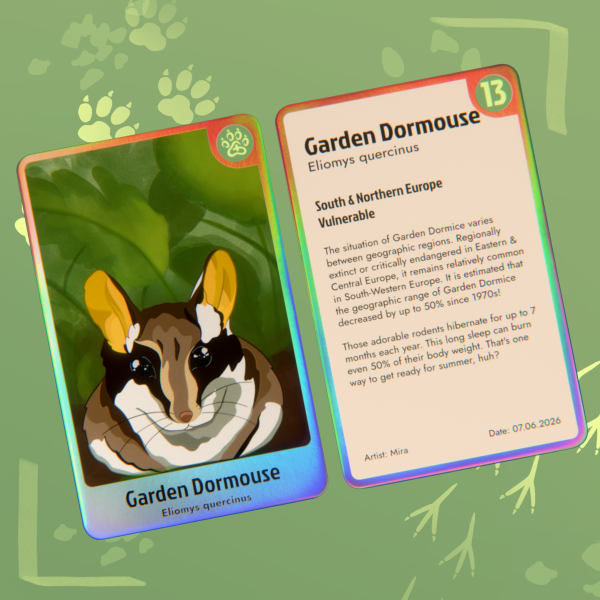 Garden Dormouse Card