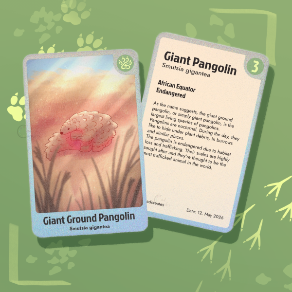 Giant Pangolin - Photocard