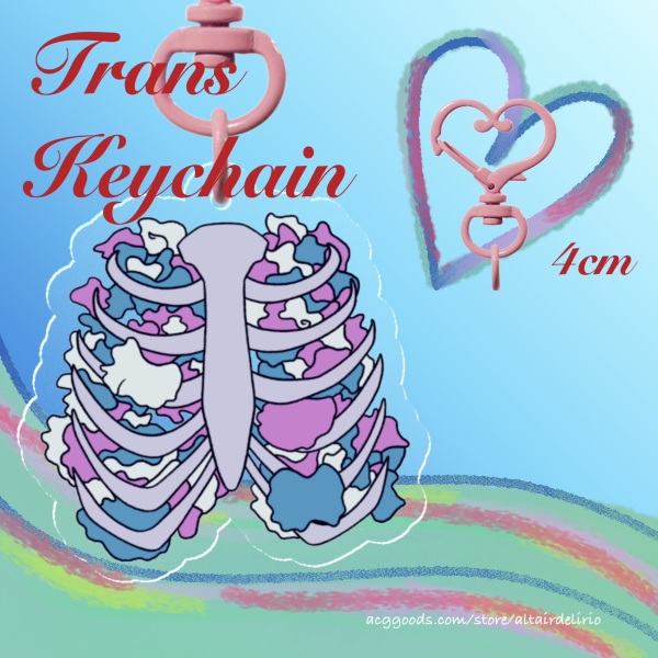 Trans Ribs Keychain