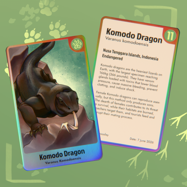 Endangered Animals Collab - Komodo Dragon Photocard 11
