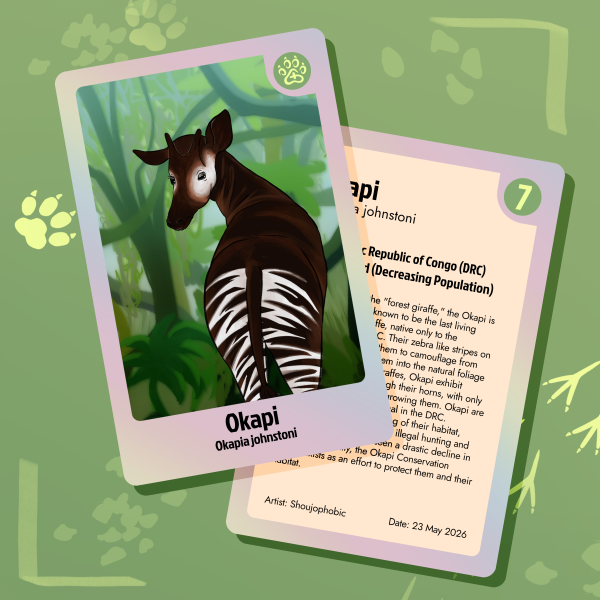Okapi - Endangered Collab Card