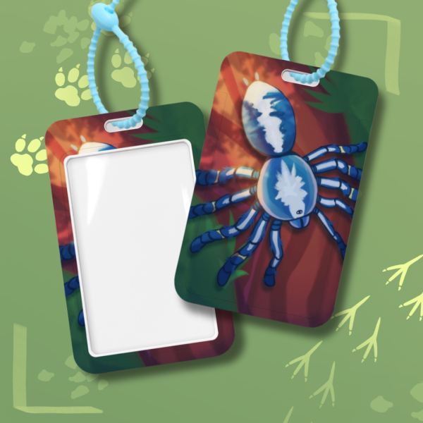 Gooty Sapphire Tarantula - Card Holder