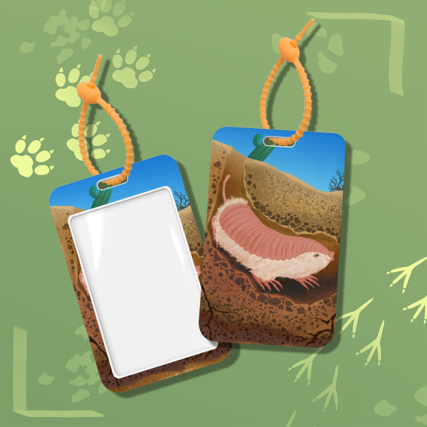 Pink Fairy Armadillo - Card Holder