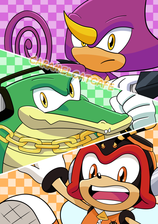 Team Chaotix Poster