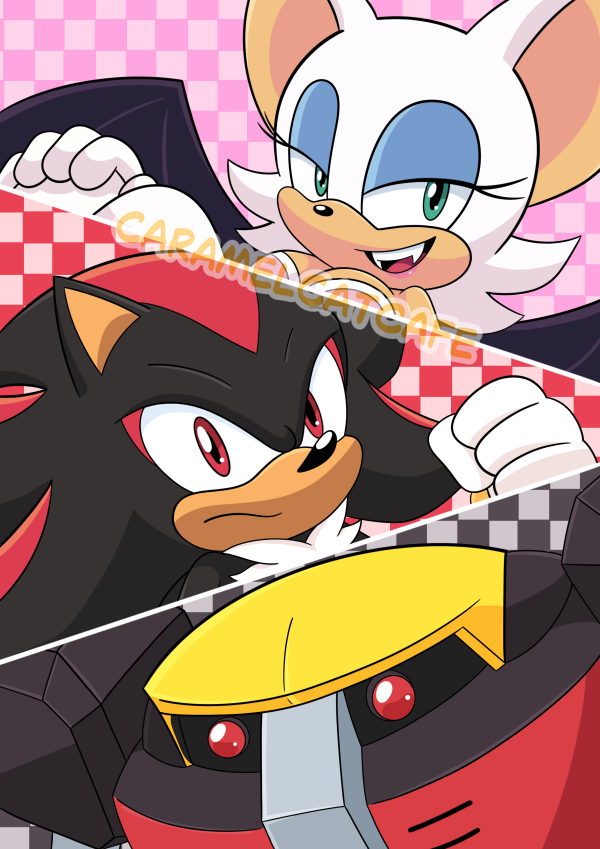 Team Dark Poster