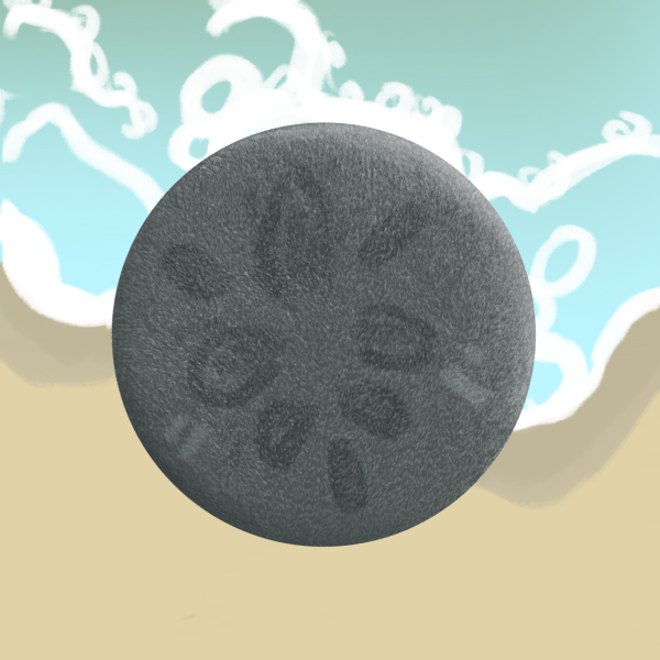 Sand Dollar Plush Badge!