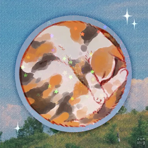 Cat Circle Sticker