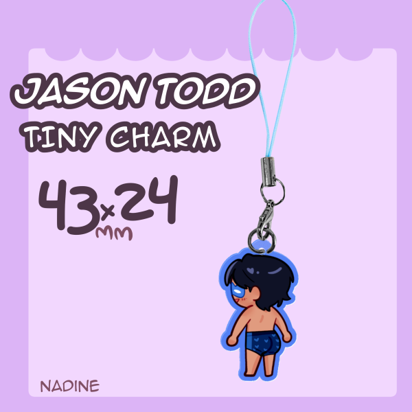 Nightwing Charm