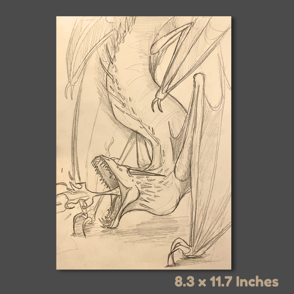 Dragon Pencil Sketch Print