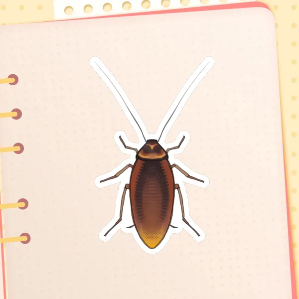 Cockroach Sticker